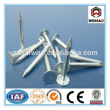 roofing nail with flat head